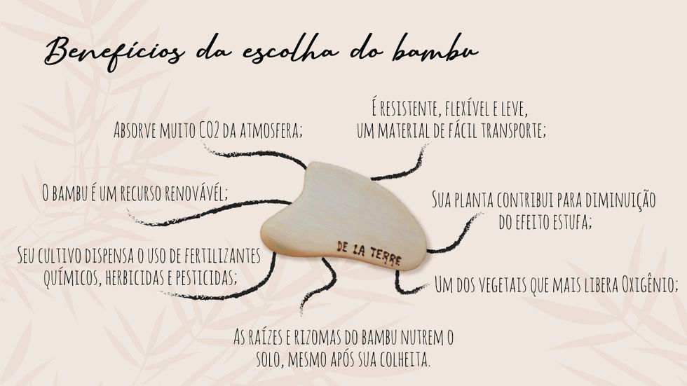 Gua Sha Bambu De La Terre